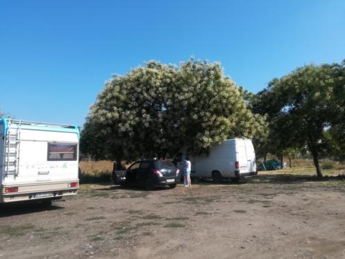 Ukraina - camping Malibu w Odessie